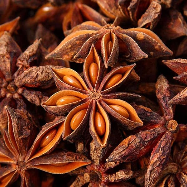 Star anise seed