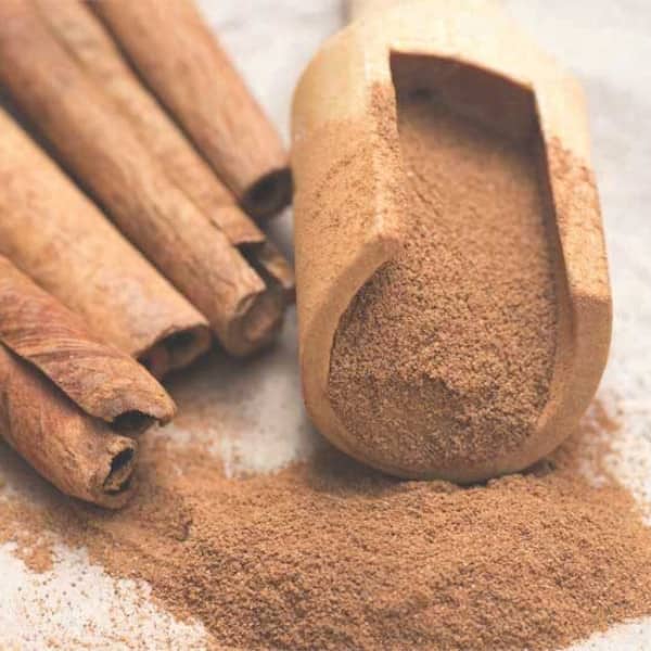 Cinnamon in a scoop